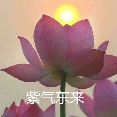 街头篮球破解版下载